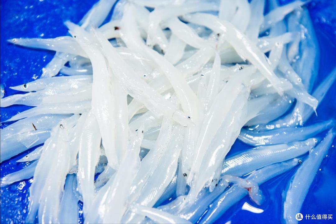 中国,哪些淡水鱼最好吃?经过评选,这10种上榜,你家常吃哪几种