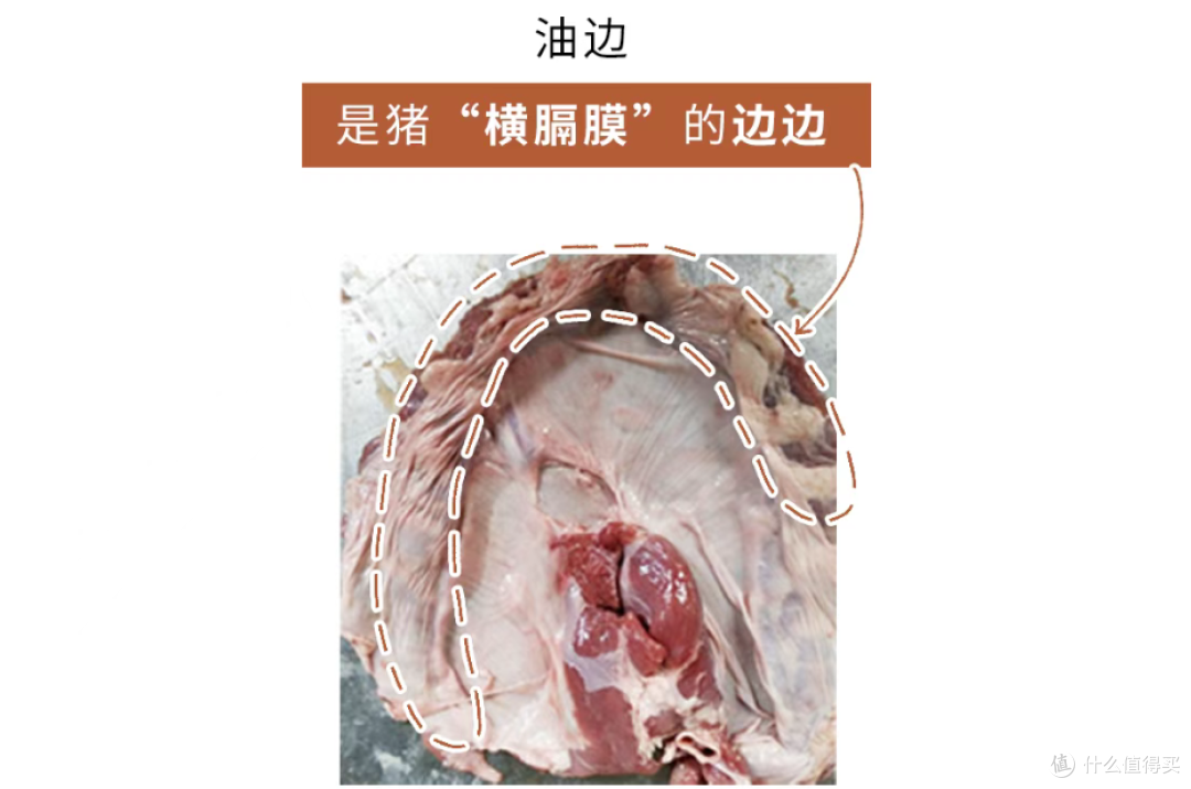 烧烤摊上20元一串的“油边”，到底是动物的啥部位？