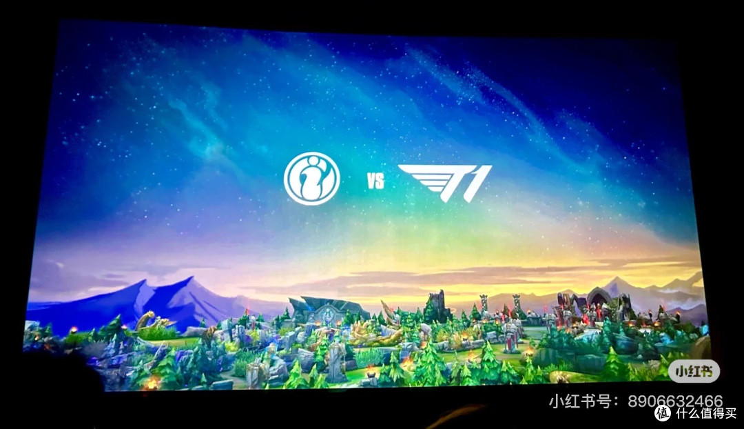 线下观赛｜「热爱当下，不问归途」IG vs T1