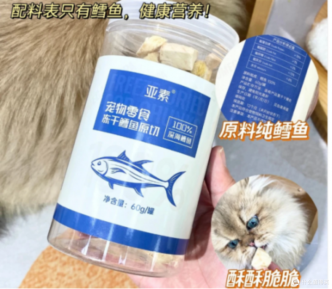2026年幼猫猫粮核心攻略 粗蛋白含量把控 + 专属配方推荐