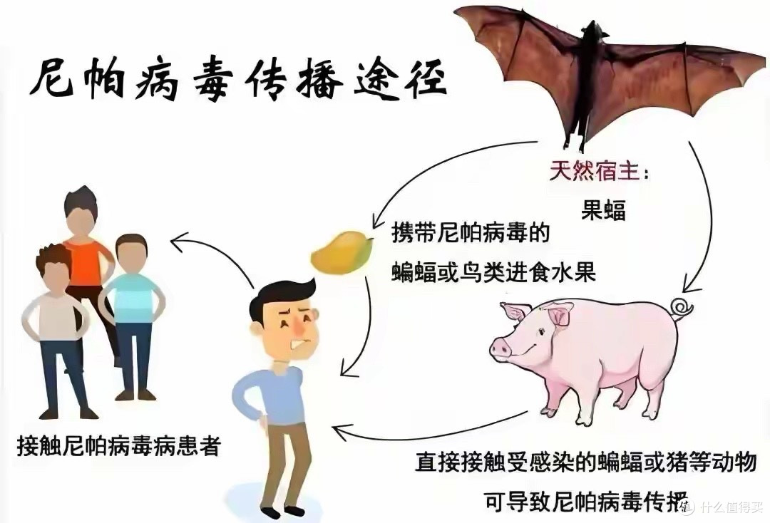 印度疫情感染者死亡率超7成,零度快评:全球防疫再迎大考!