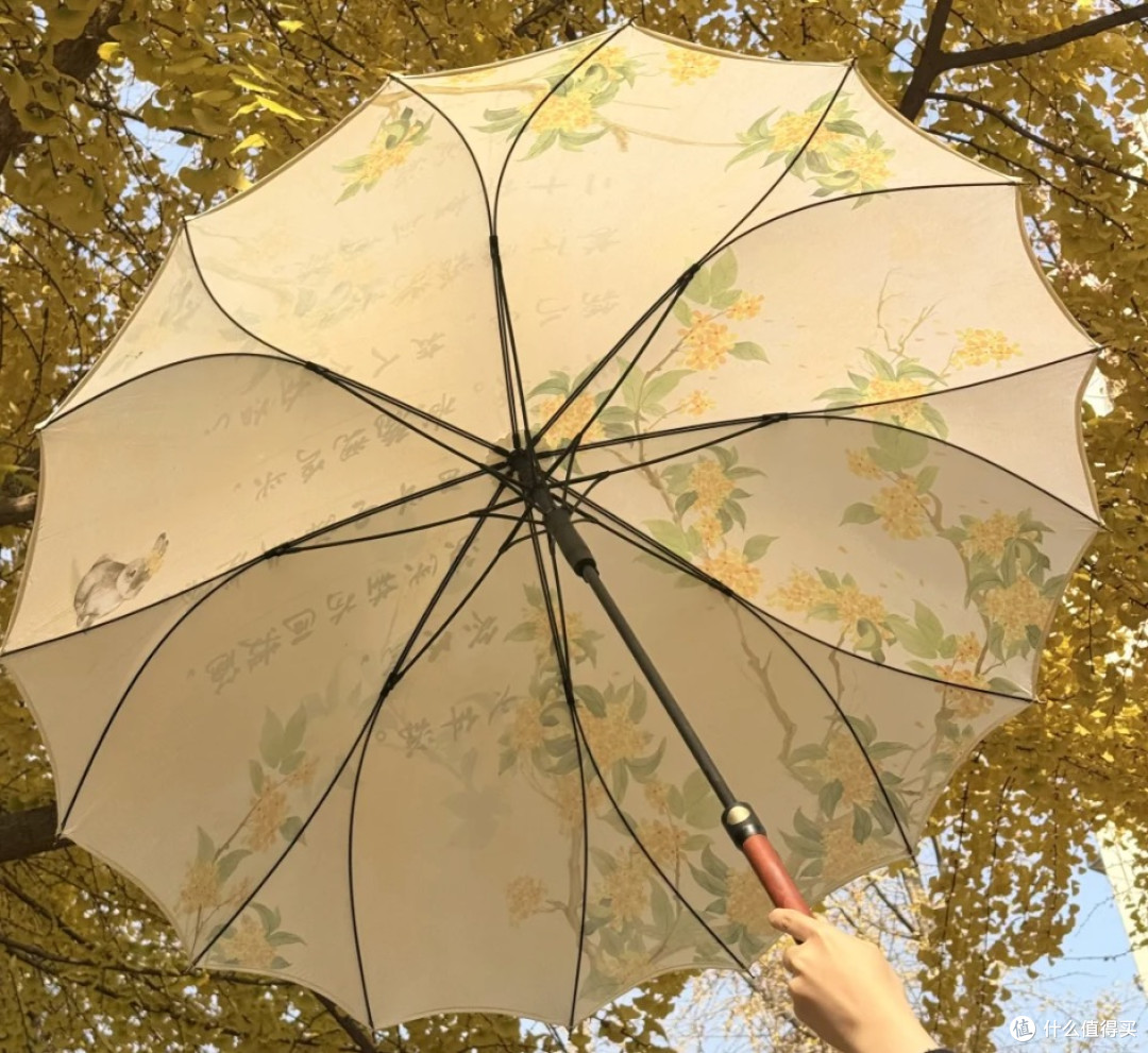 买雨伞怎么选择一把真正好用的雨伞?看这几点避坑,一选一个准!