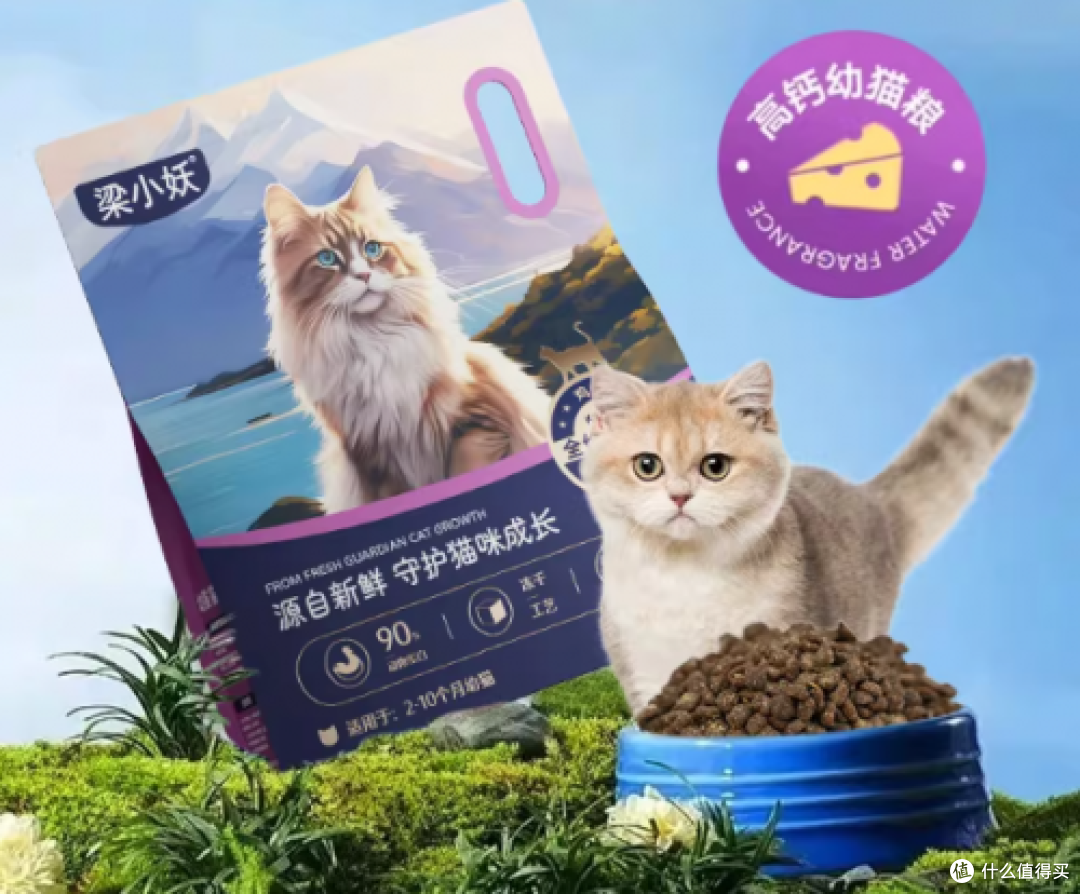 2026年幼猫猫粮核心攻略 粗蛋白含量把控 + 专属配方推荐
