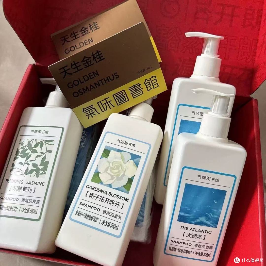 气味图书馆香氛洗发水｜油头焊死高颅顶+伪体香密码✨