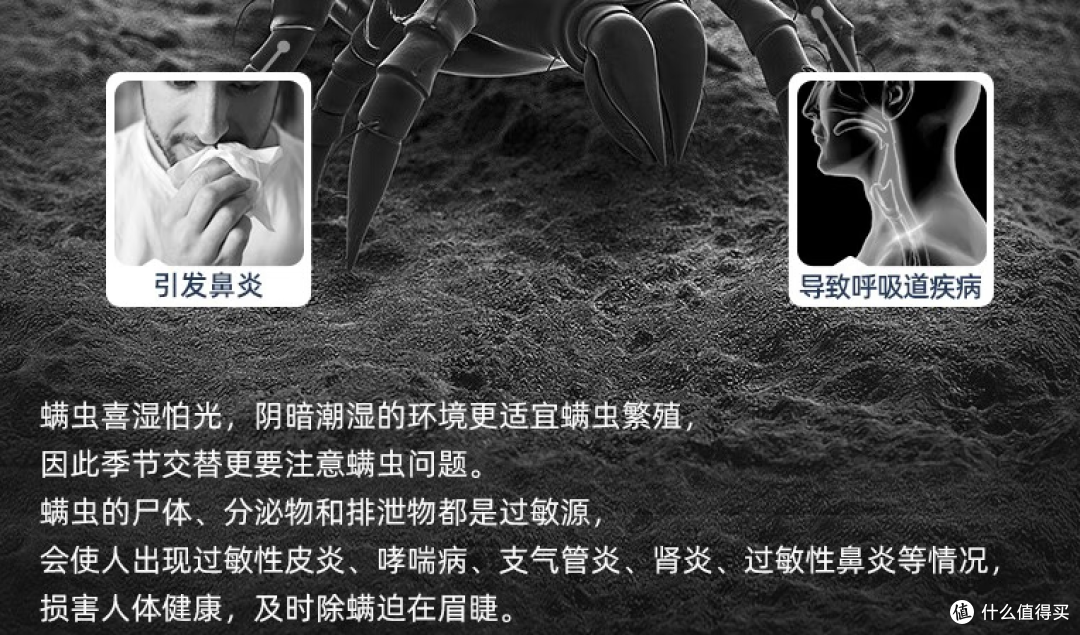 除螨仪是什么?床上的螨虫怎么样彻底清除掉?除螨仪有用吗?