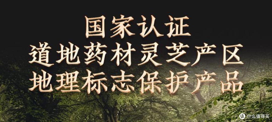 2026灵芝孢子粉哪个牌子好?中国十大破壁灵芝品牌爆榜推荐