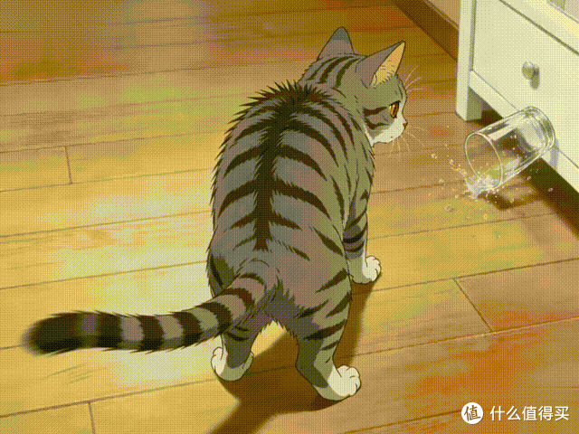 猫“害怕”时,会有这些表现,你有发现吗?
