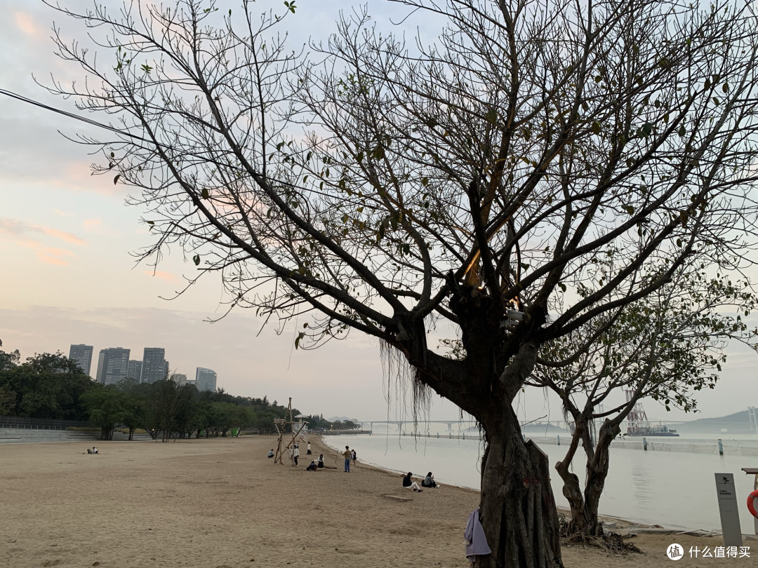 这一年,从竞速到风景:我的骑行之道