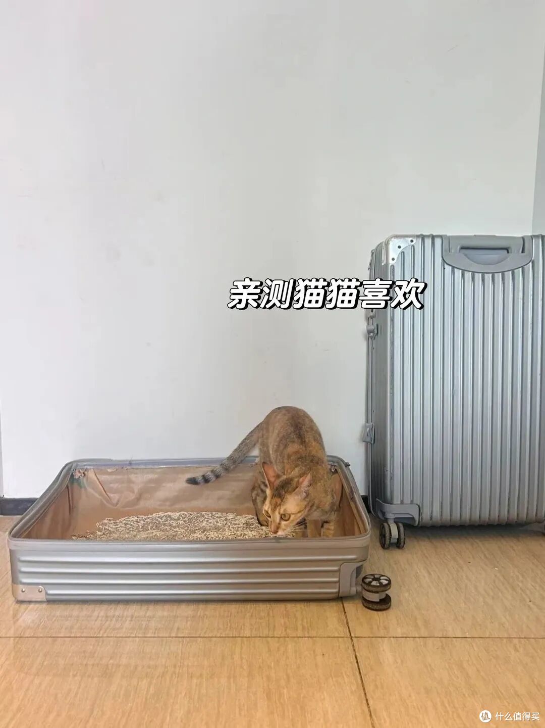 闲置行李箱,看完网友的绝妙点子后,立马成了生活神器