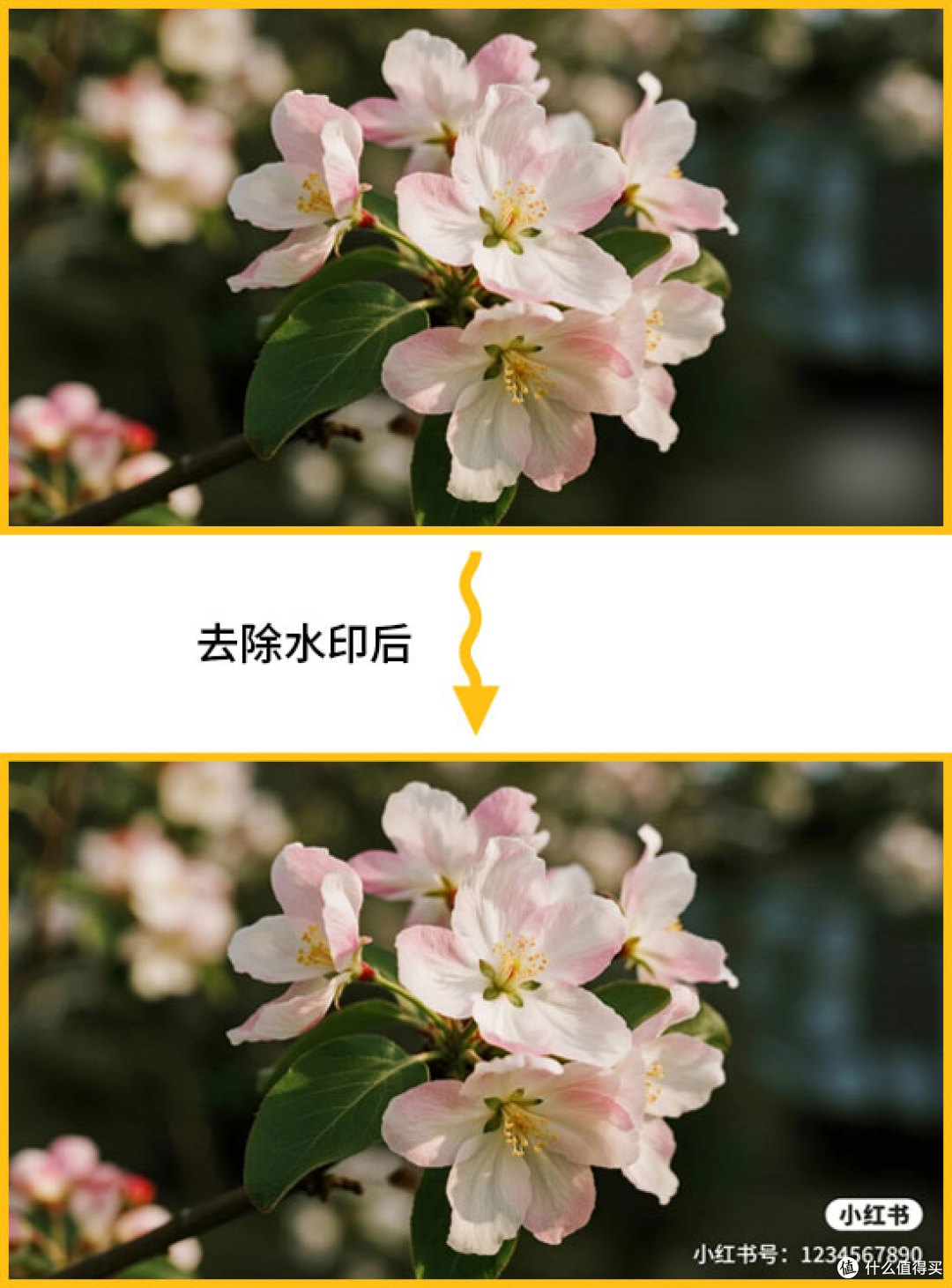 小红书视频的水印怎么去掉?5个视频去水印的招式