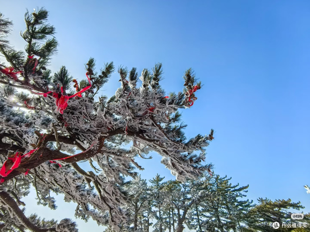 春节登华山,开启新春奇险之旅