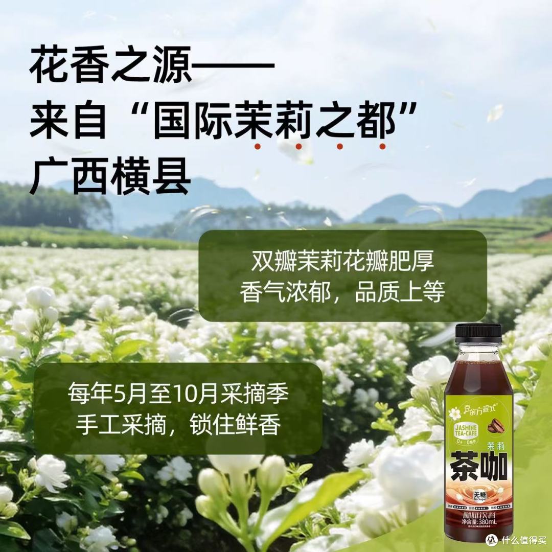 豆的方程式即饮咖啡种草|380mL瓶装承包我的所有提神时刻✨