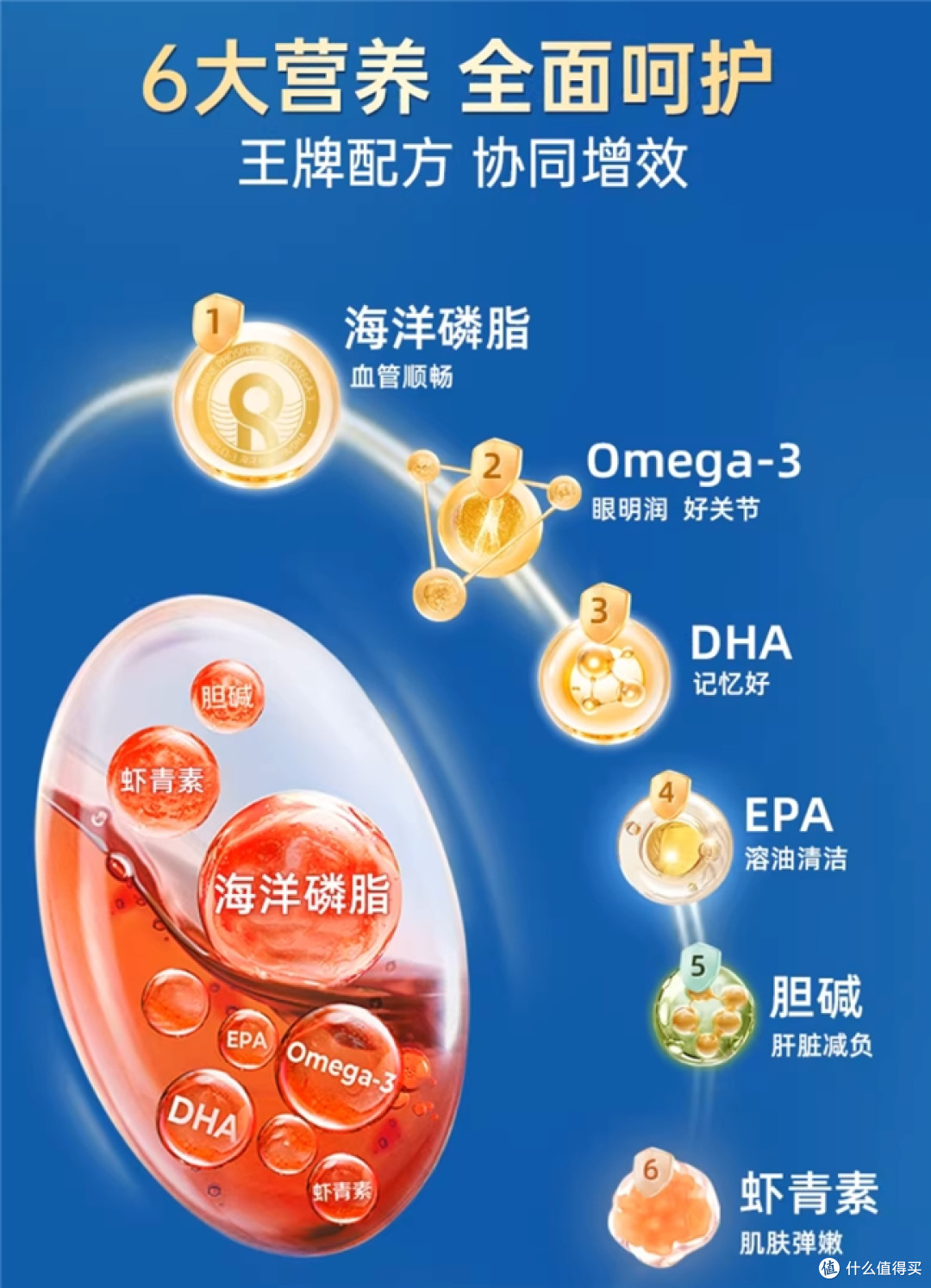 74.6%实测高磷脂,挪威NYO3如何为“过劳心”撑起保护伞?