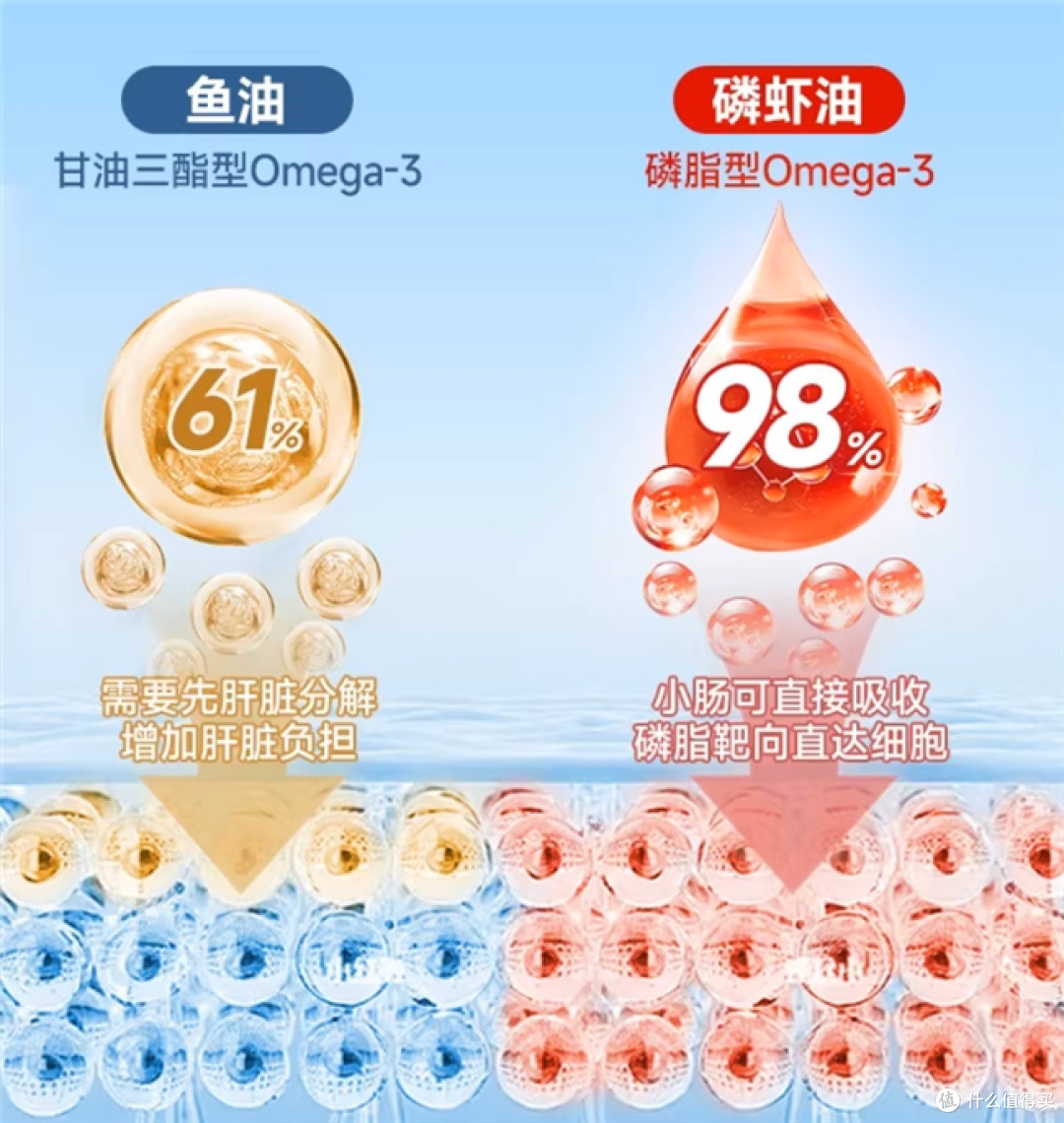 74.6%实测高磷脂,挪威NYO3如何为“过劳心”撑起保护伞?