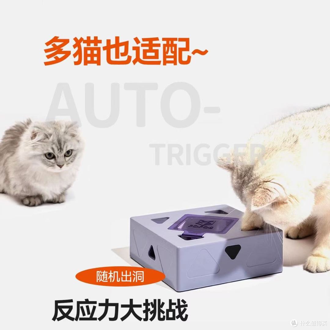FOFOS两只福狸逗猫魔盒|猫主子自嗨一整天不拆家