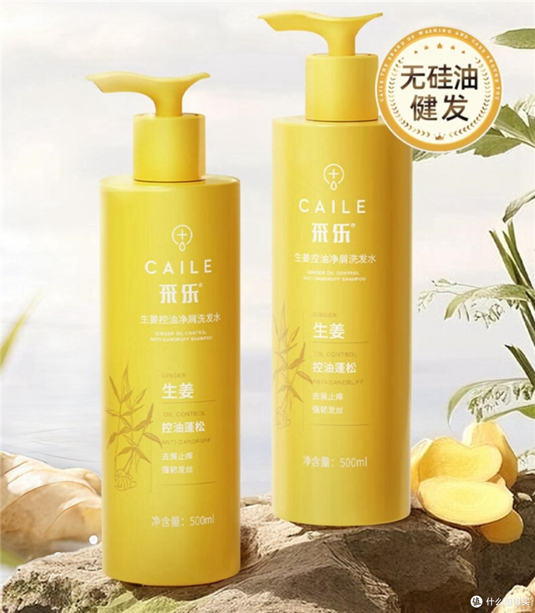 干性头皮干痒脱屑?2026哪款洗发水去屑止痒控油好,用户好评扎堆