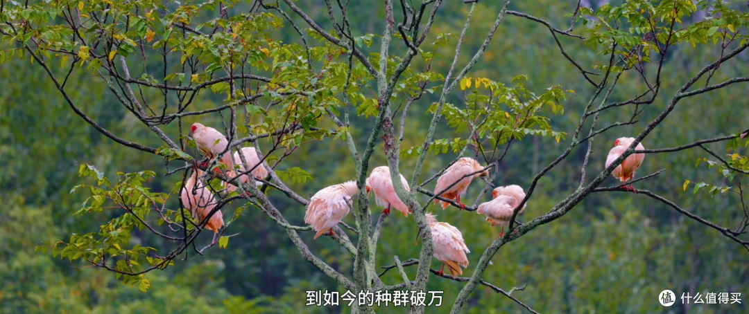 比亚迪粉丝活动:不是“吃喝拍照”而是科学考察!第三季已经启动