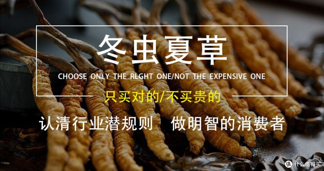 冬虫夏草哪个牌子正宗质量好?2026中国十大冬虫夏草品牌推荐指南