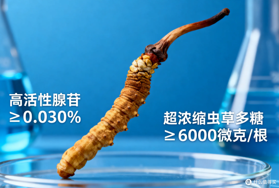 冬虫夏草哪个牌子正宗质量好?2026中国十大冬虫夏草品牌推荐指南
