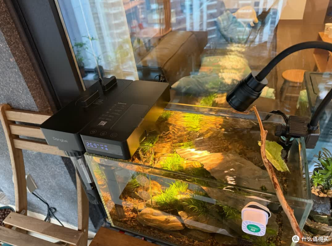 鱼缸过滤器怎么选不踩坑？当贝N1 800AI三芯独立水路深度解析