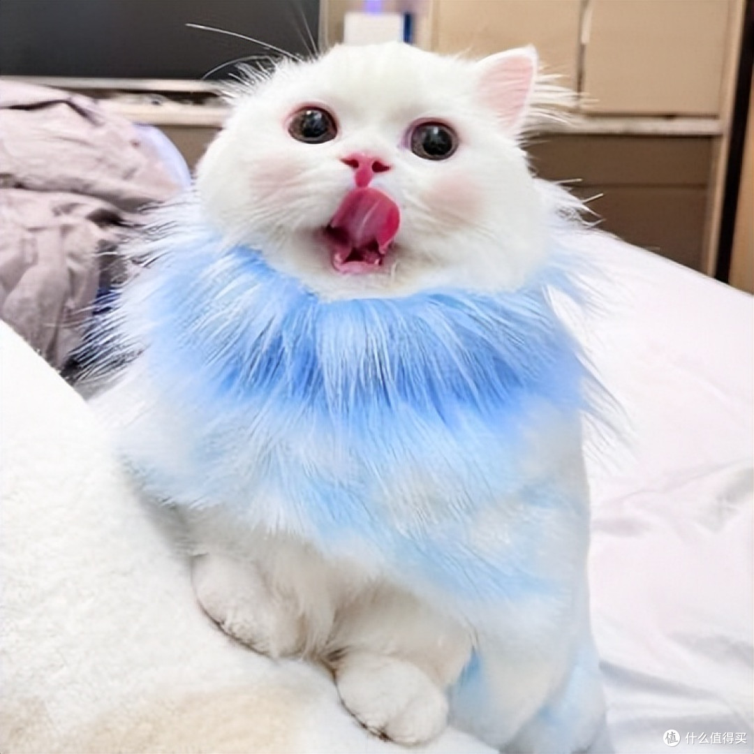 猫咪泪痕重眼屎多?哪个猫粮适合有泪痕的猫咪吃?