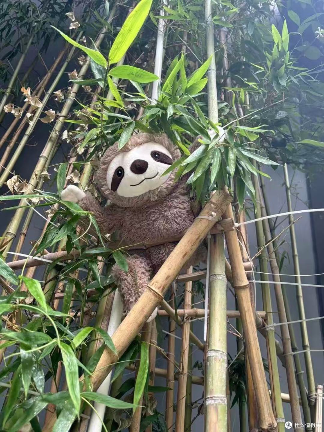 Warmies树懒瓦姆|冷暖双用+薰衣草香,承包全年龄段的治愈与陪伴