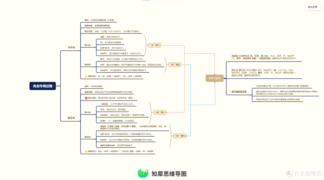 怎么用思维导图备课 用这个方法教学效率翻倍