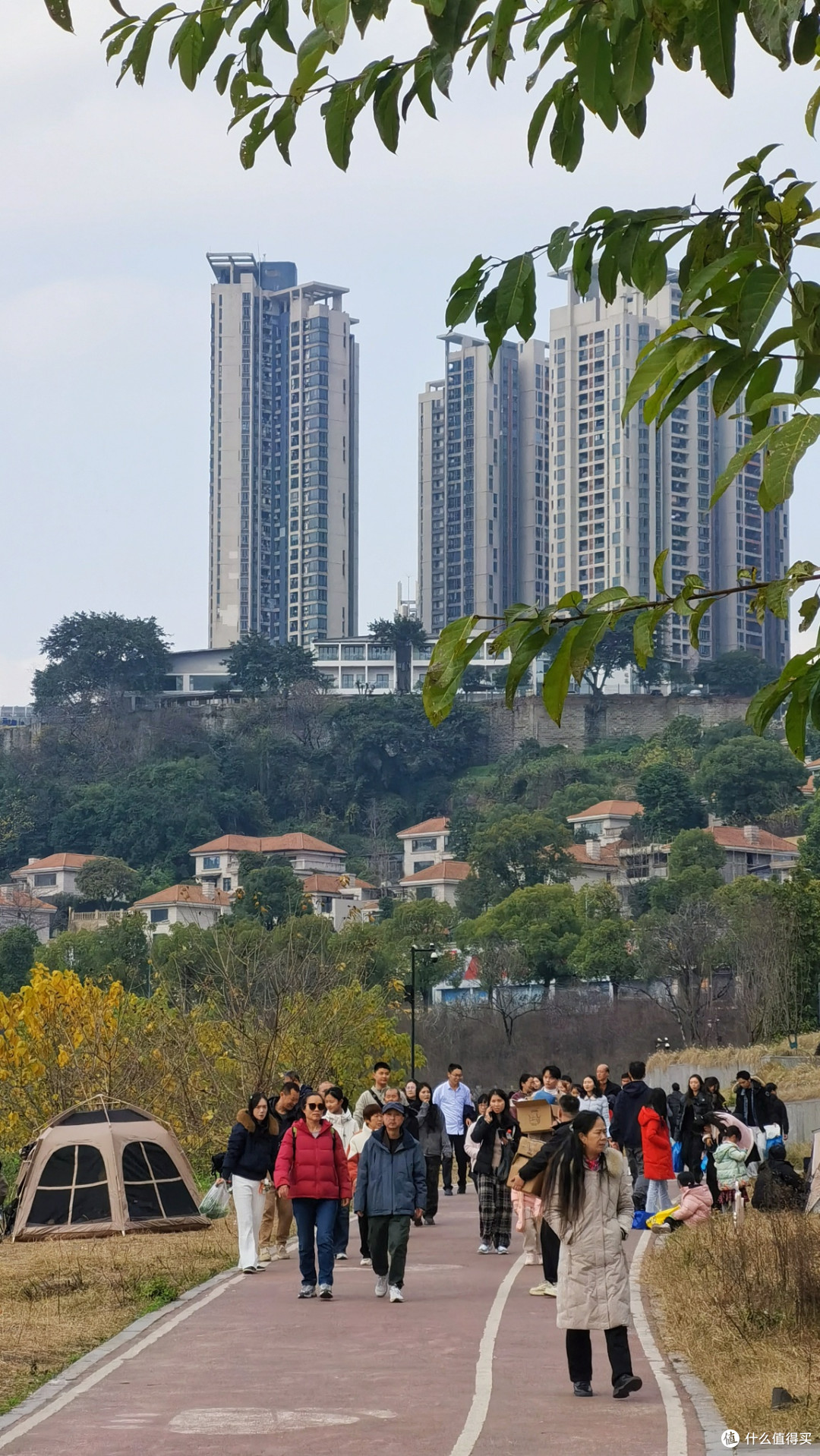 来重庆请忘记那些网红景点吧,南坪雅巴洞湿地公园才是本地人YYDS