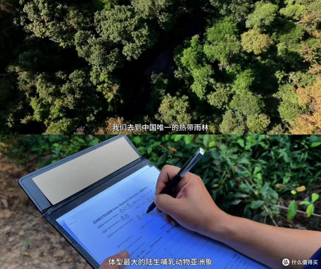 中国汽车出海下一站:与联合国教科文组织共护地球