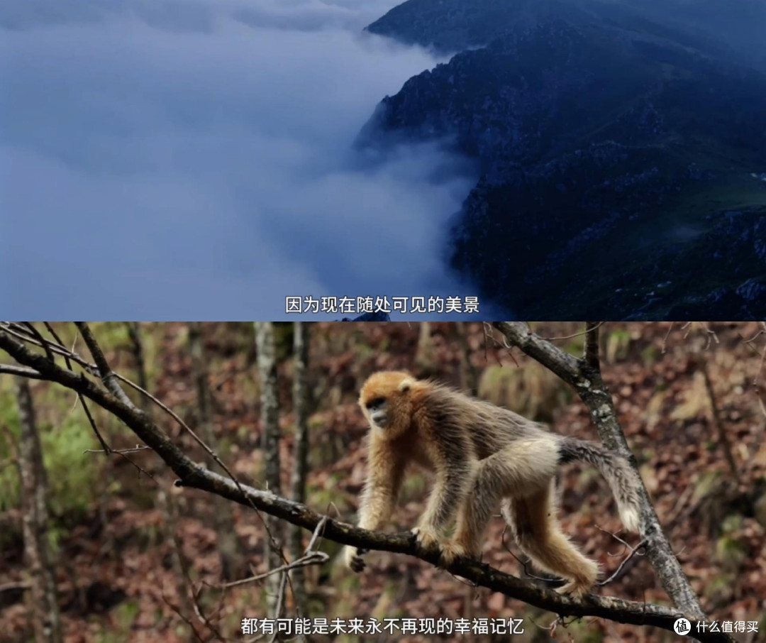 中国汽车出海下一站:与联合国教科文组织共护地球