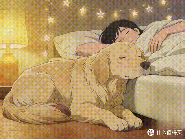 当你睡着后,狗狗会做这几件事,说明养对了!