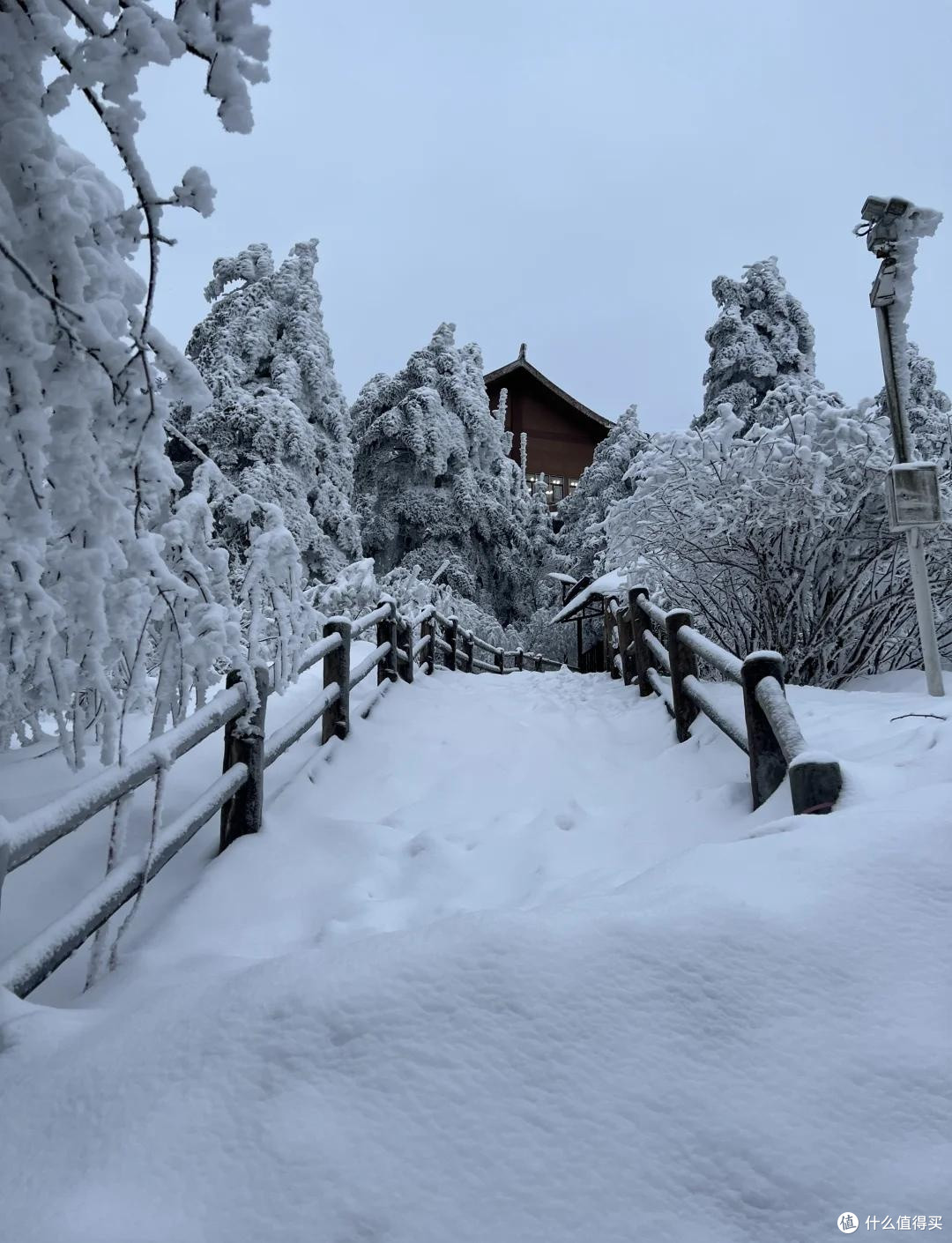 新春峨眉山冰雪禅意之旅