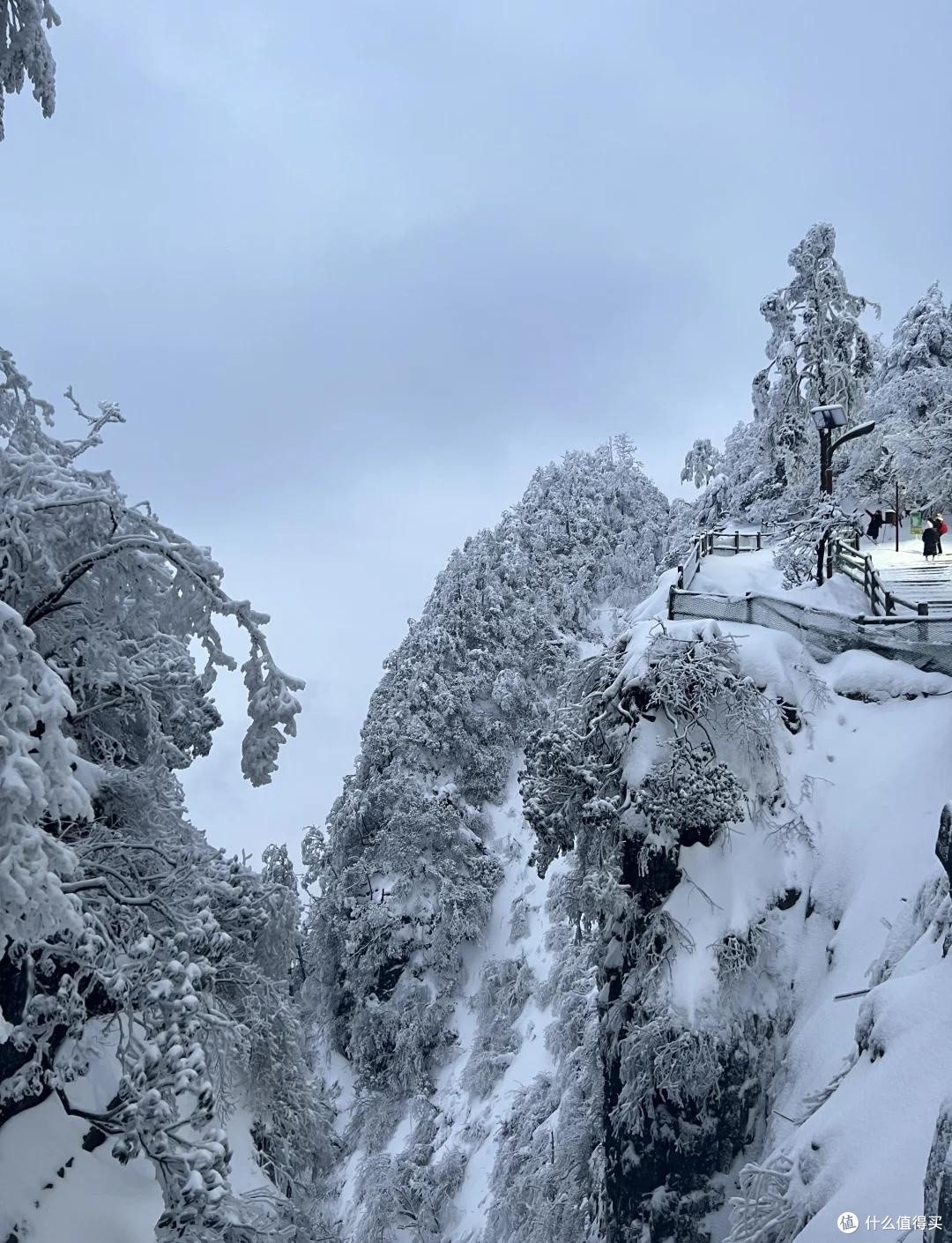 新春峨眉山冰雪禅意之旅