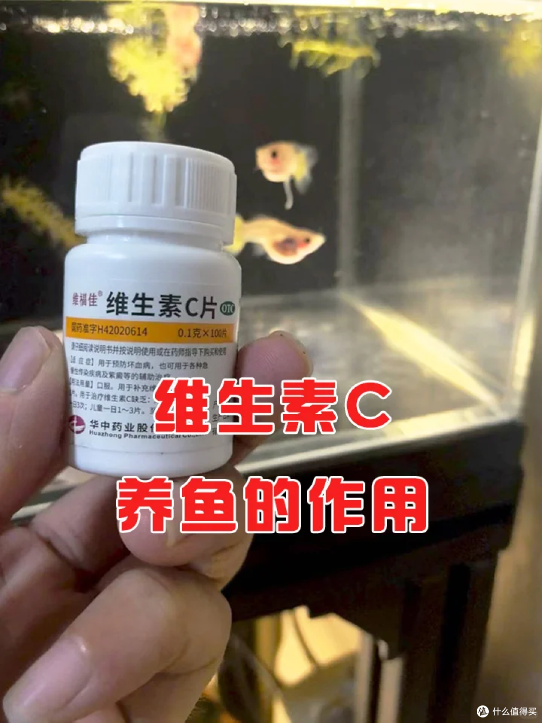 第一次维生素C片惊到了,2块钱一瓶,居然有这么多妙用!
