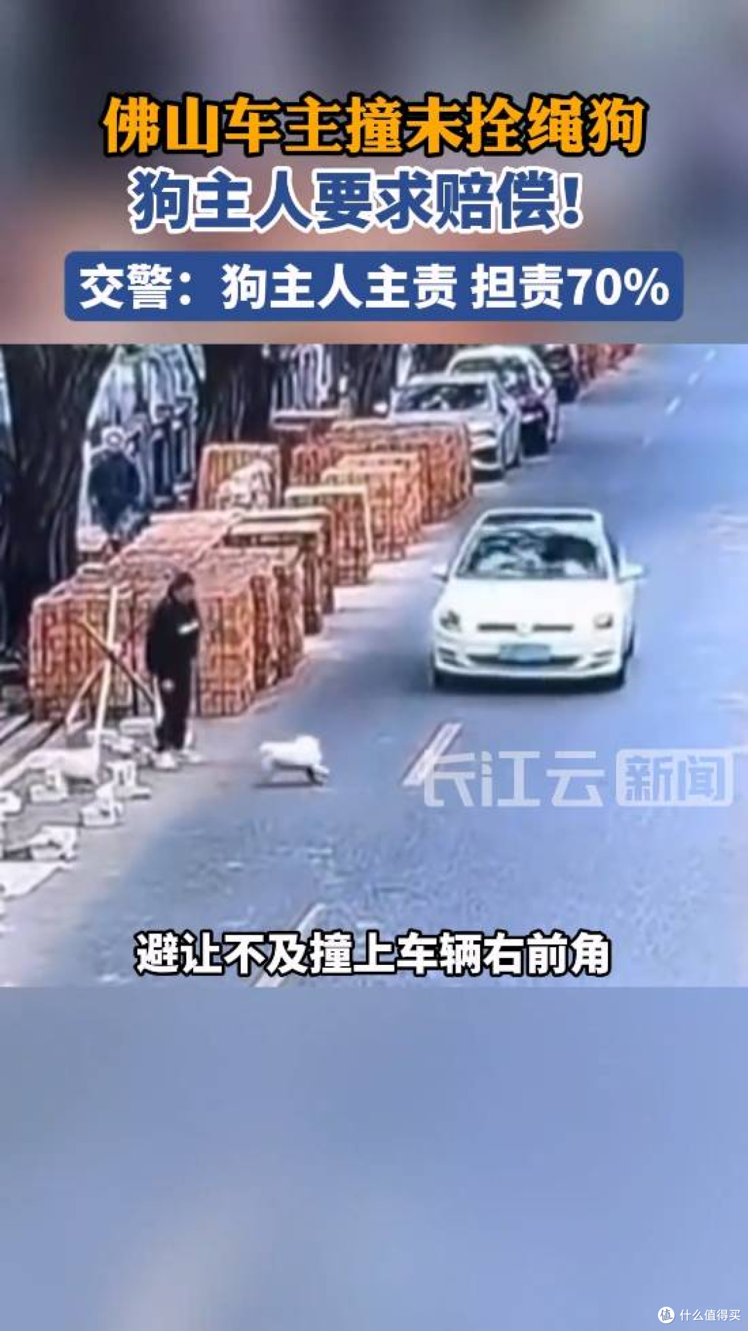 司机撞了窜出的未拴绳狗,竟被判担次责赔钱?网友:这锅太憋屈!