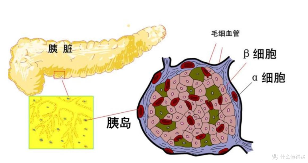 糖尿病不是突然上门，原来糖尿病是这样来的。80%的人天天犯！