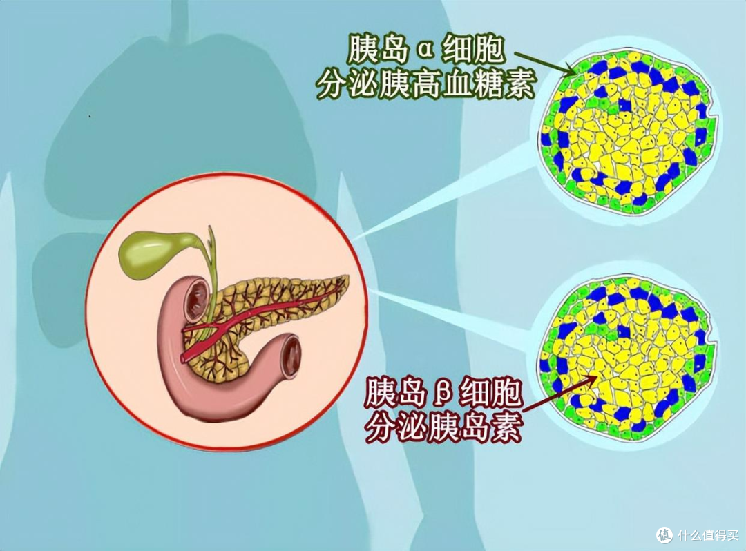 糖尿病不是突然上门，原来糖尿病是这样来的。80%的人天天犯！