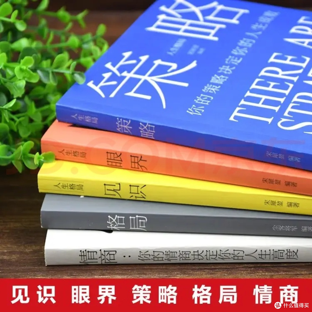 格局眼界策略见识情商