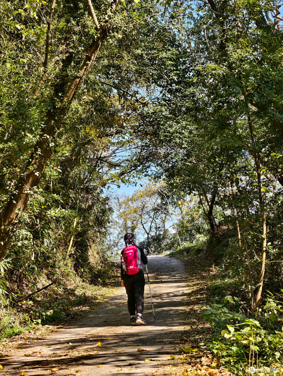 登山杖全科普:选对、用对,才是解锁户外徒步安全感