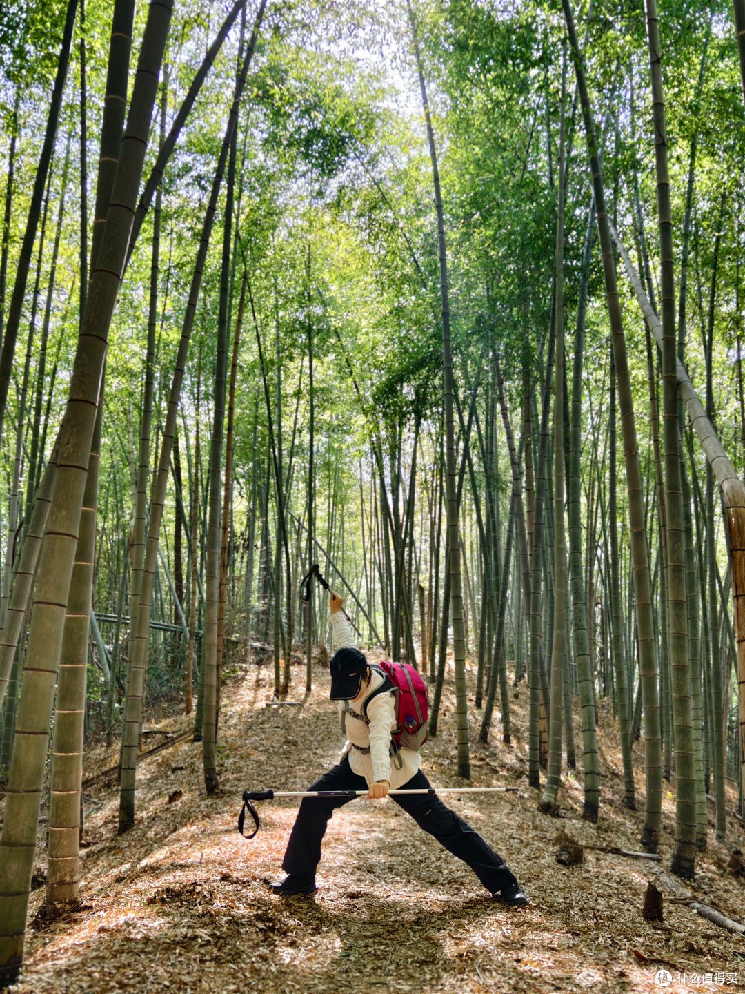 登山杖全科普:选对、用对,才是解锁户外徒步安全感