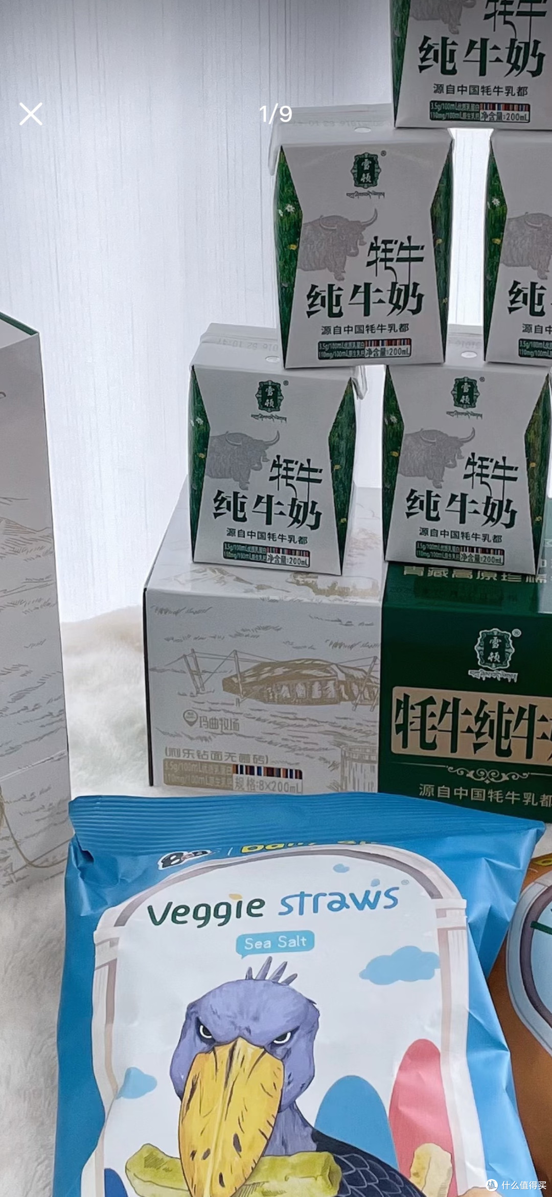 家庭保险：守护生活的港湾