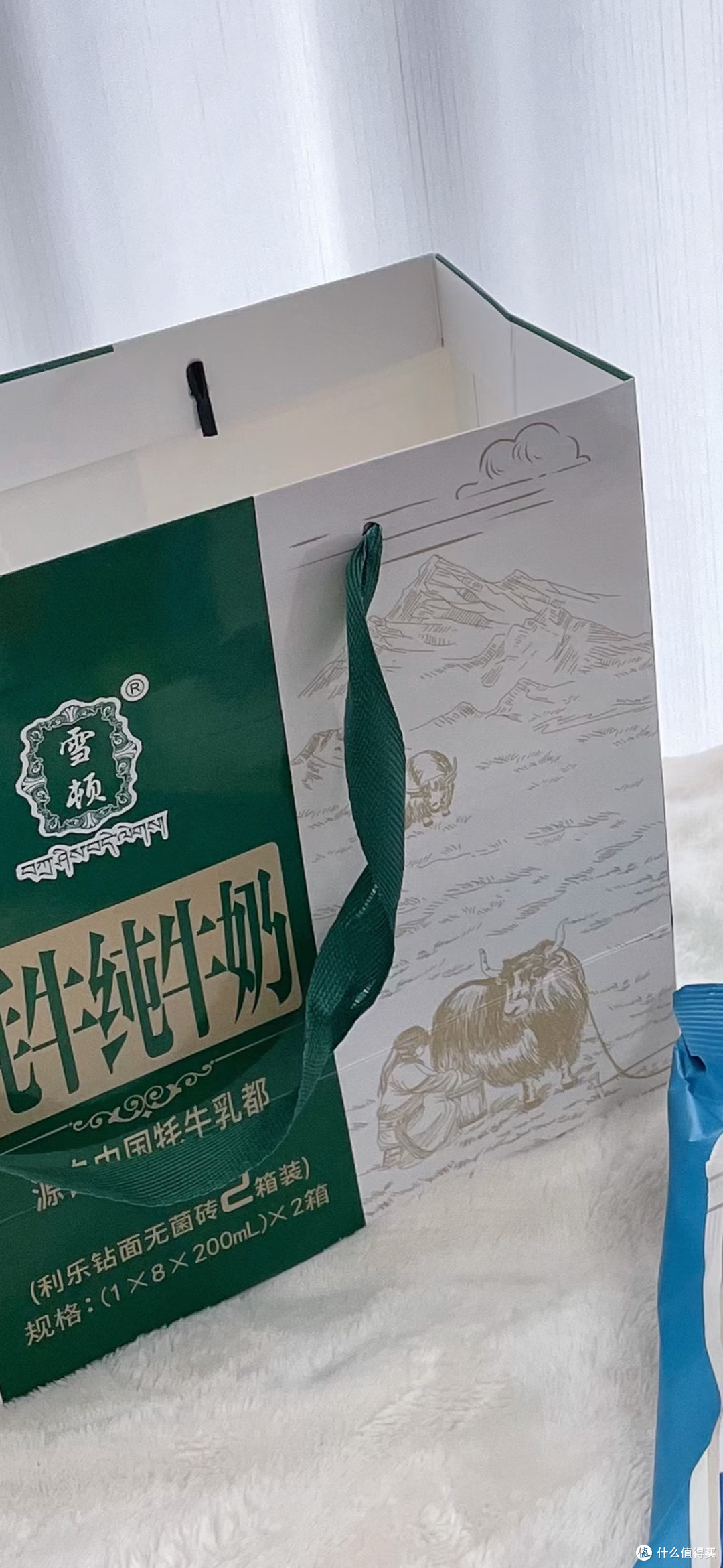 家庭保险：守护生活的港湾