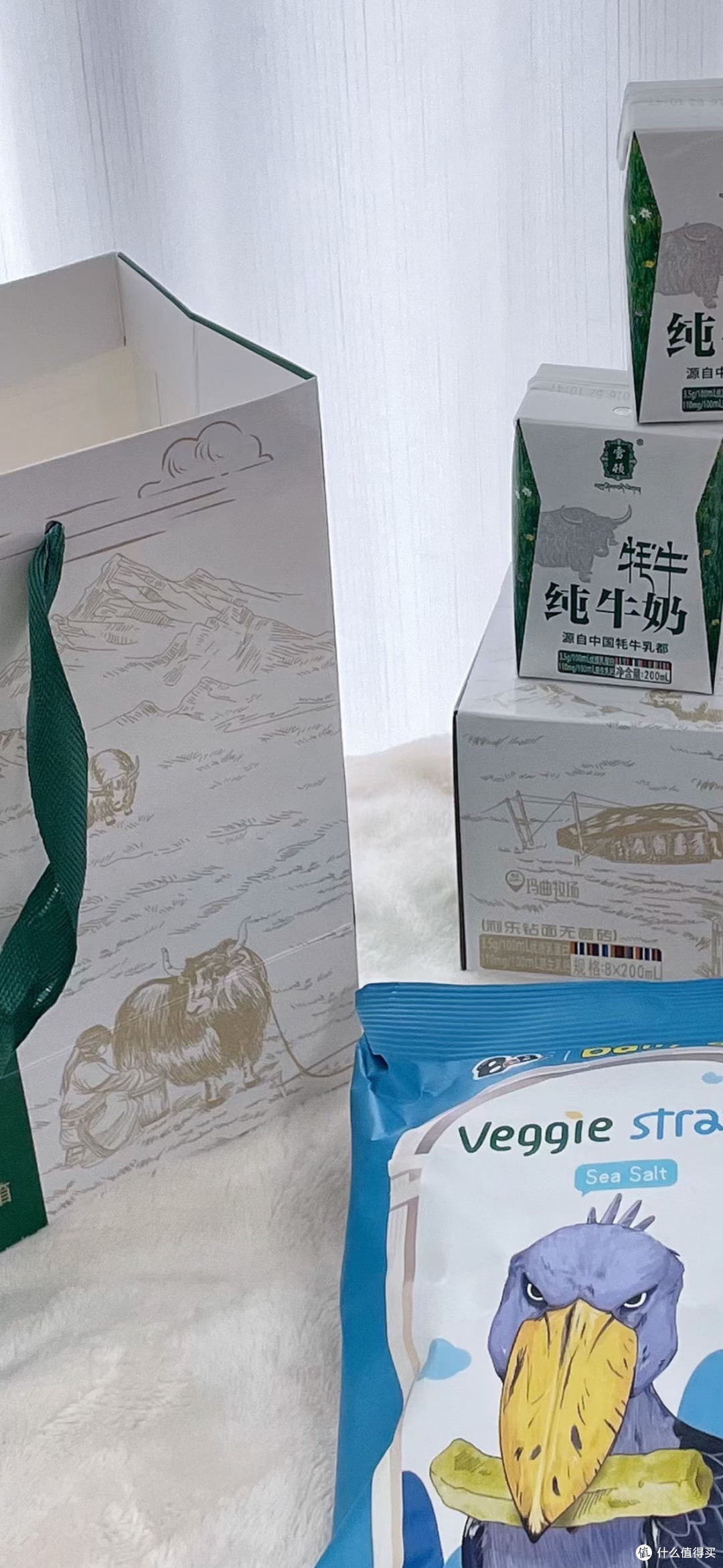 家庭保险：守护生活的港湾