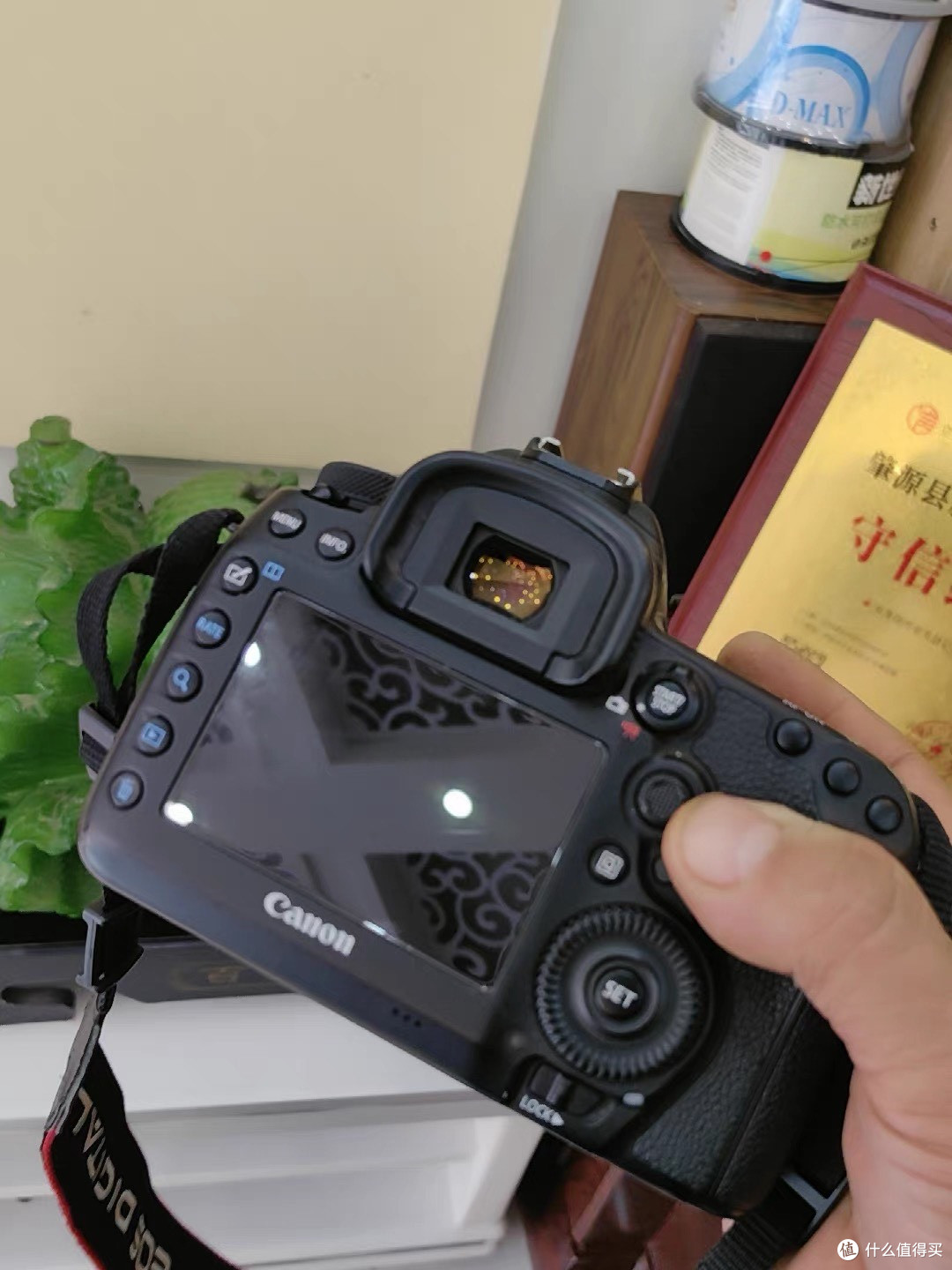 EOS 5D4:摄影与人生的共鸣