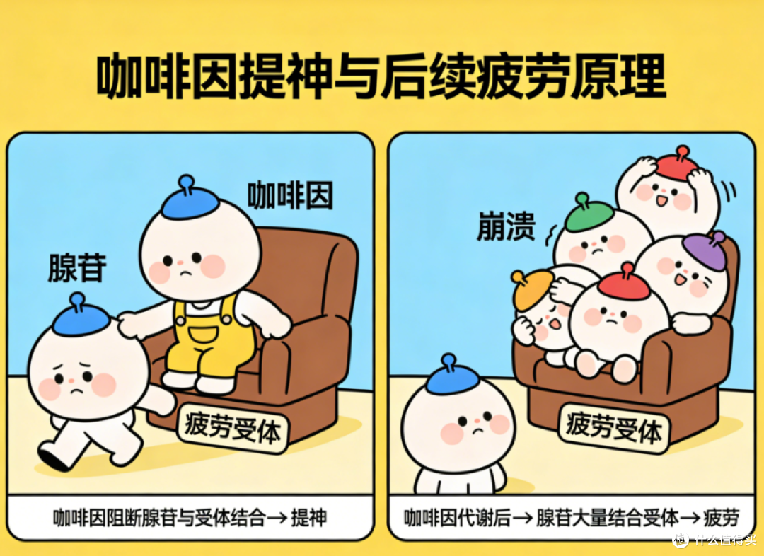 咖啡因不耐受:是基因的错,还是你喝错了?