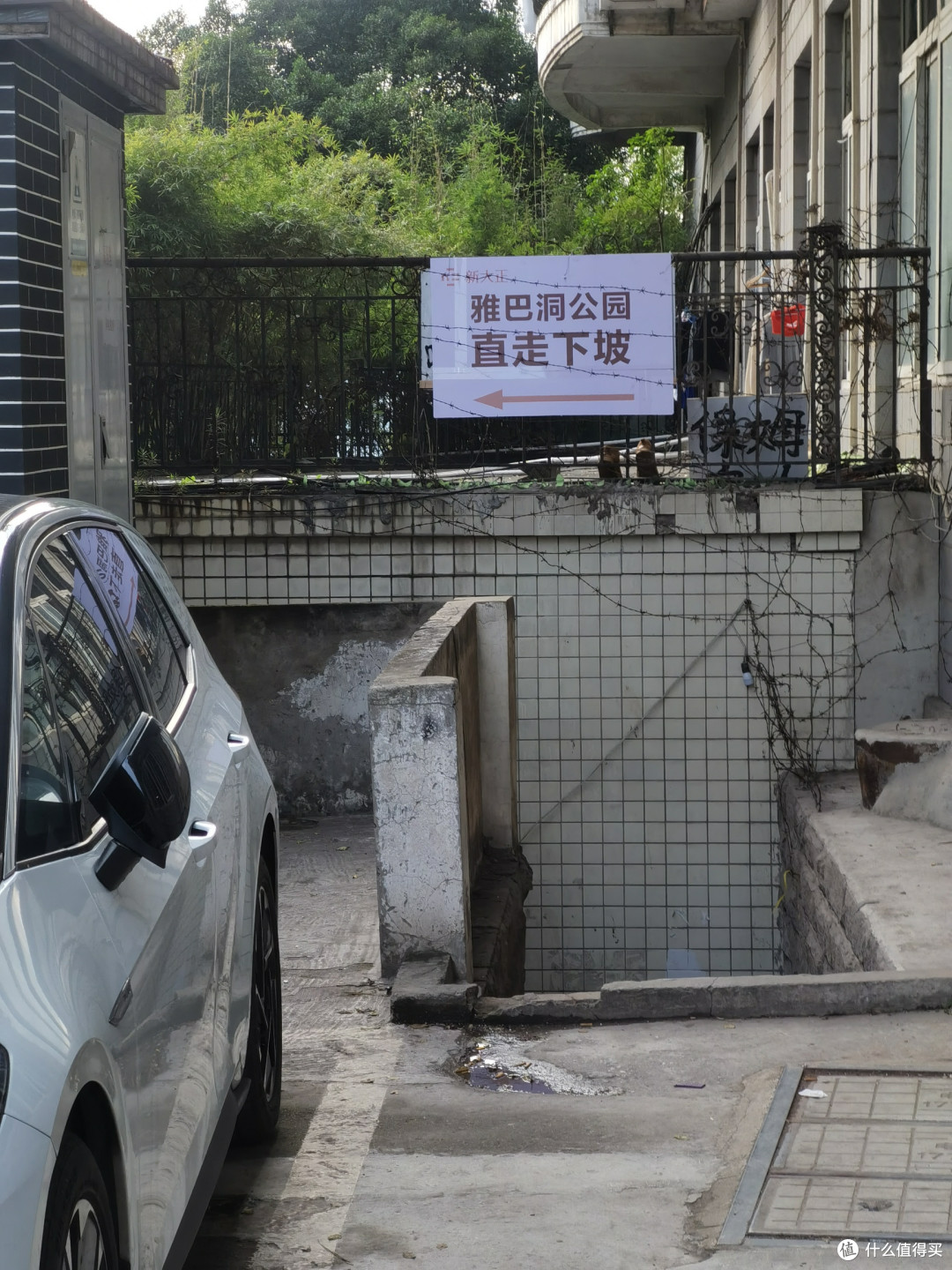 来重庆请忘记那些网红景点吧,南坪雅巴洞湿地公园才是本地人YYDS
