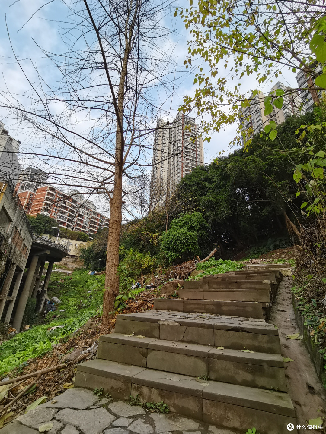 来重庆请忘记那些网红景点吧,南坪雅巴洞湿地公园才是本地人YYDS