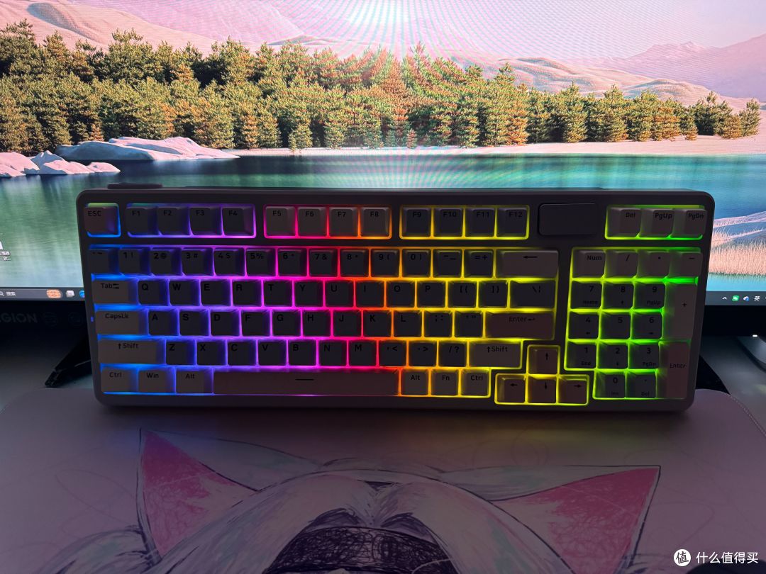 雷柏VT9 MAX+V700DIY-98长续航版套装:游戏办公双在线,手感拉满