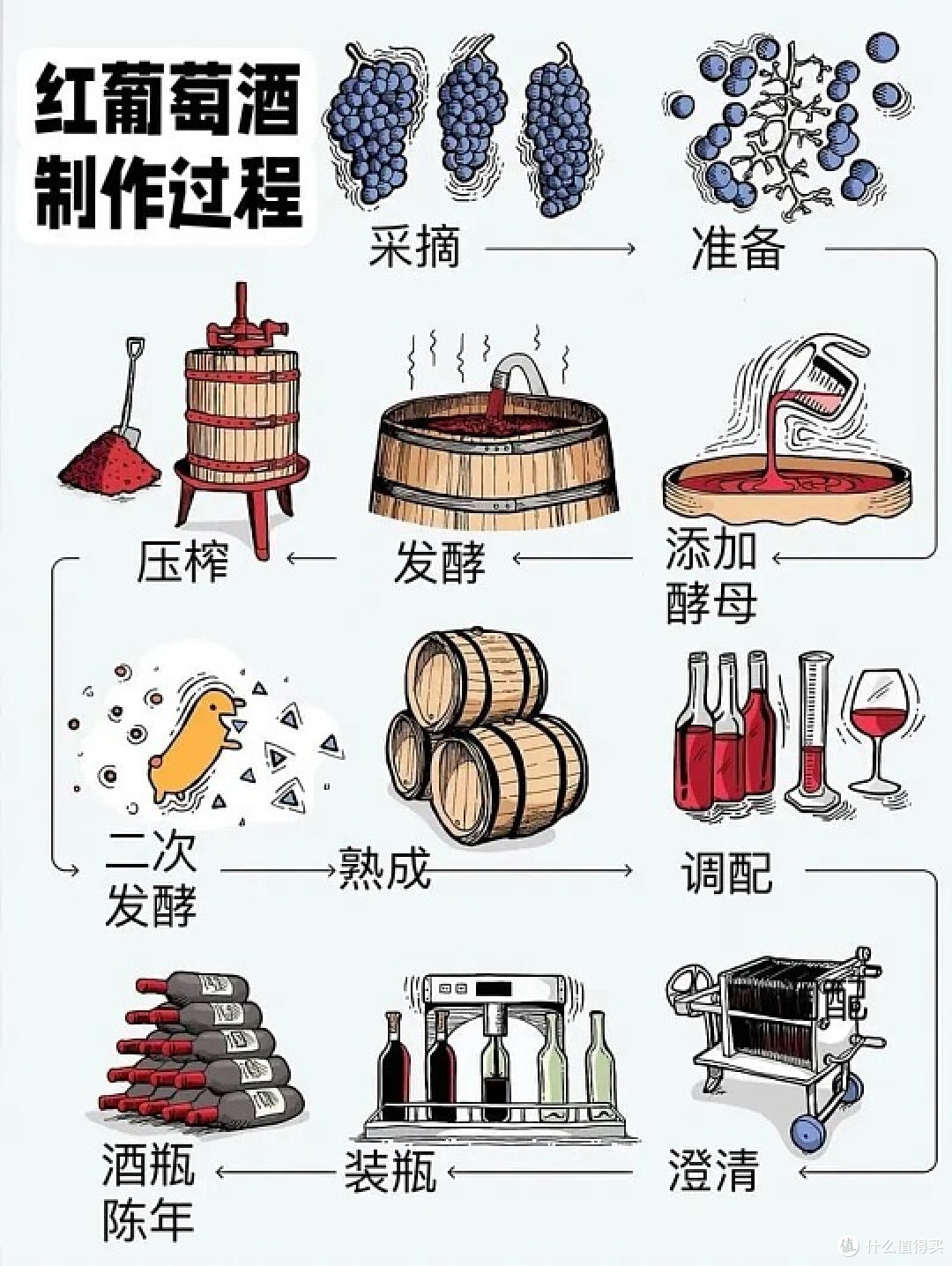 红葡萄酒的制作流程