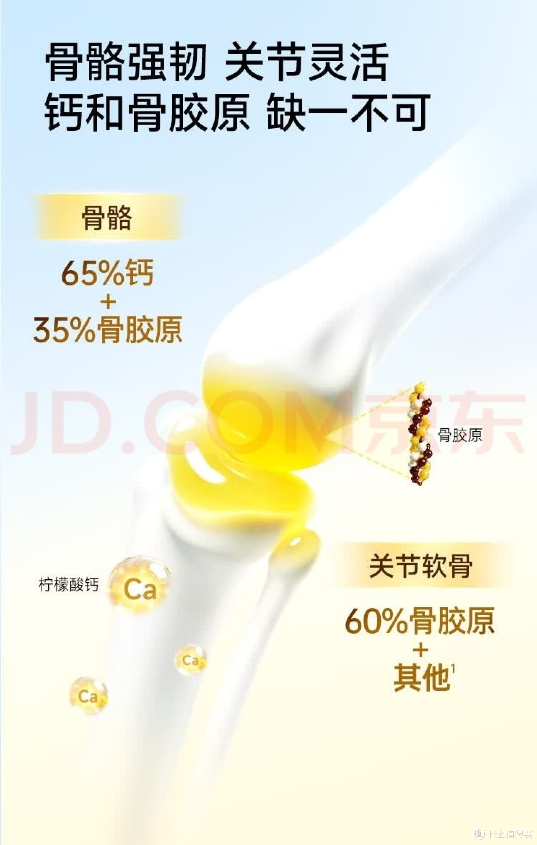 2026年2月骨胶原钙产品推荐:多品牌守护骨骼健康,补钙更锁钙